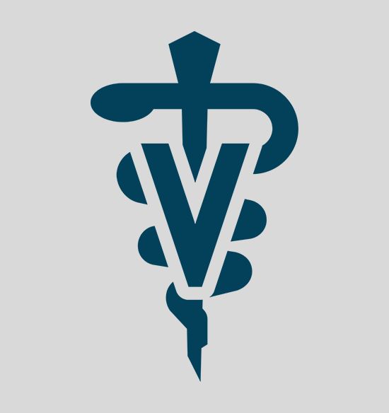 Team member placeholder 