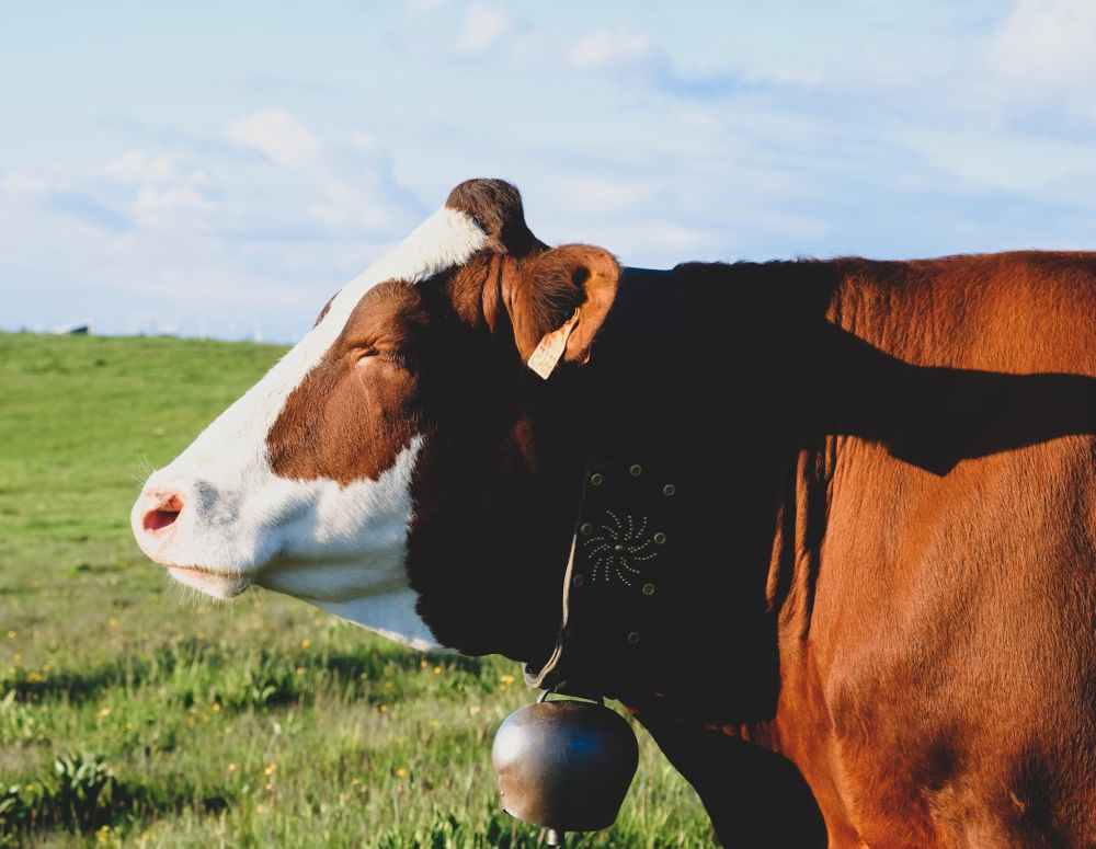 Schedule a Farm Visit Today