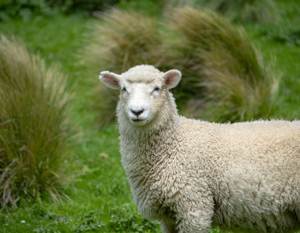 Schedule a Farm Visit Today